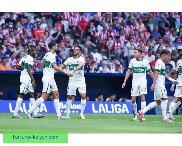 奥萨苏纳战术解析